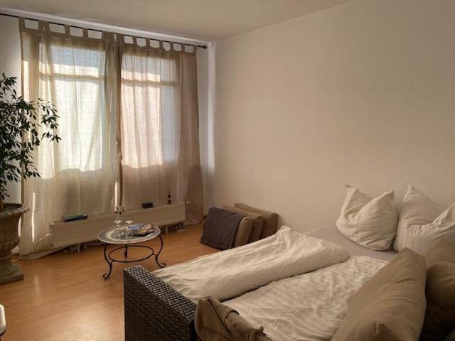 Panoramablick Auf Elbe Und Schloesser Dresden Exterior foto